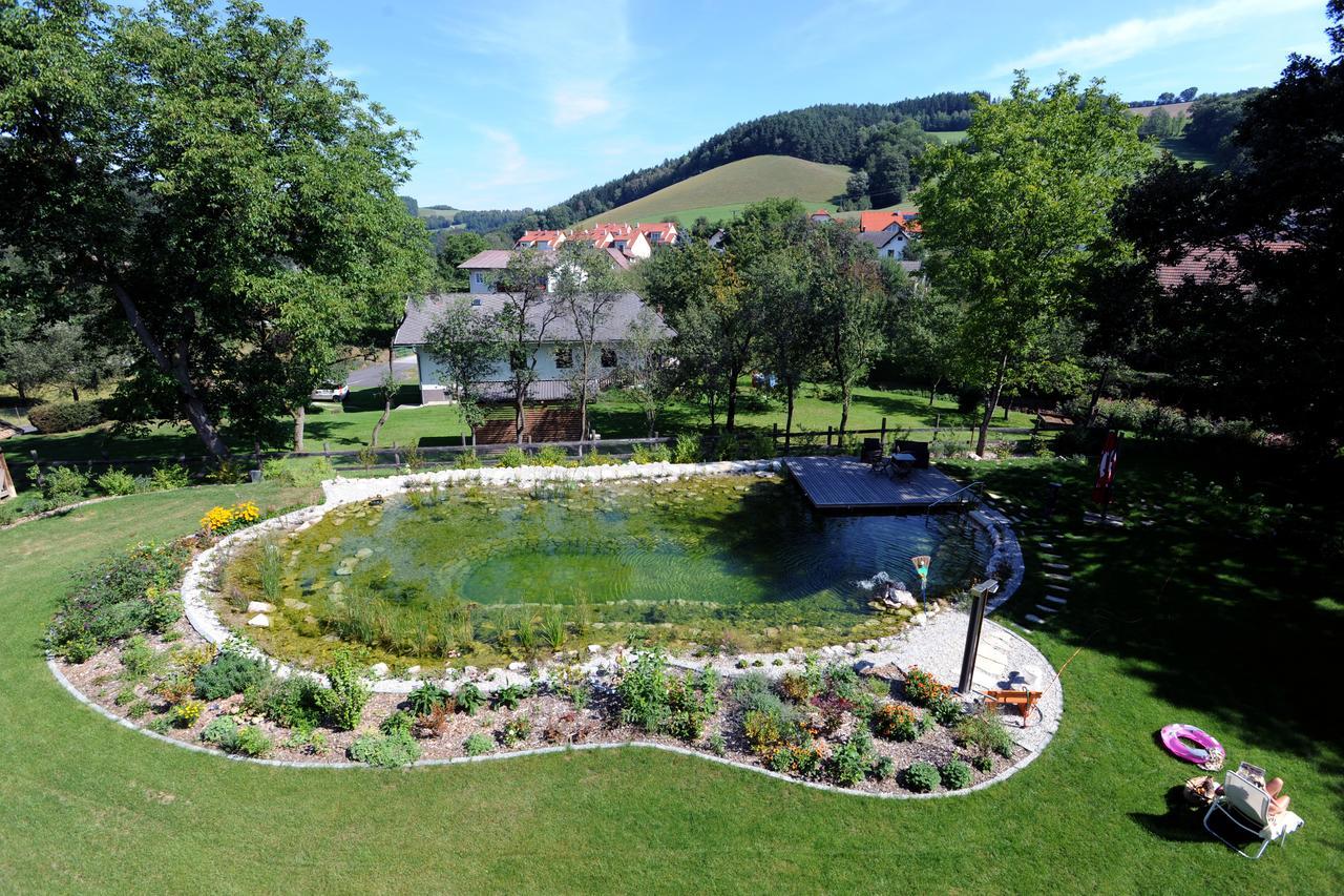 Hotel Geier Bad Schonau Bagian luar foto